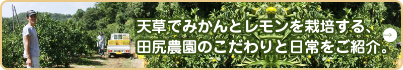 田尻農園のぶログ