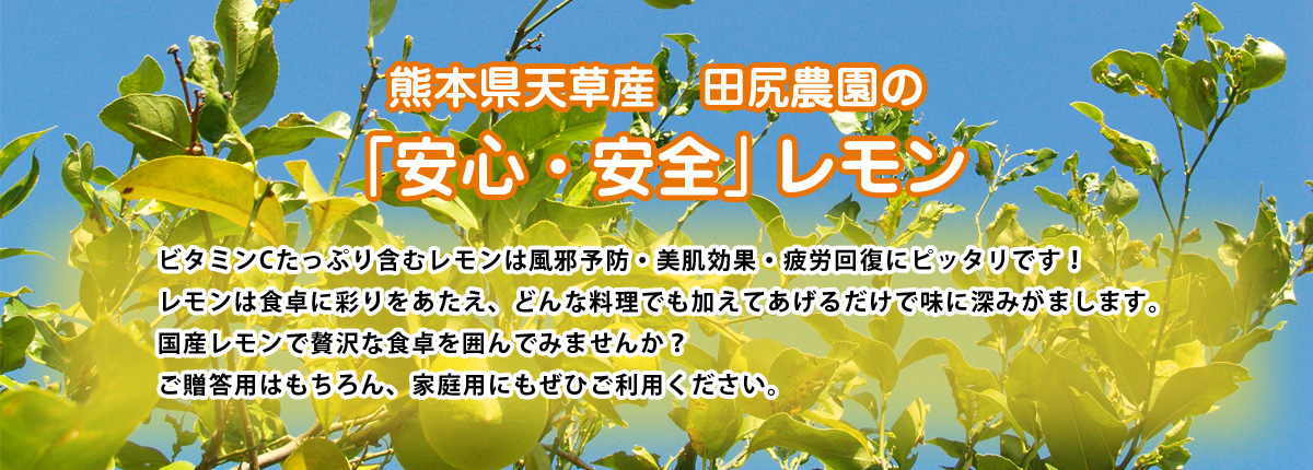 熊本県天草産　田尻農園の安心、安全なレモン